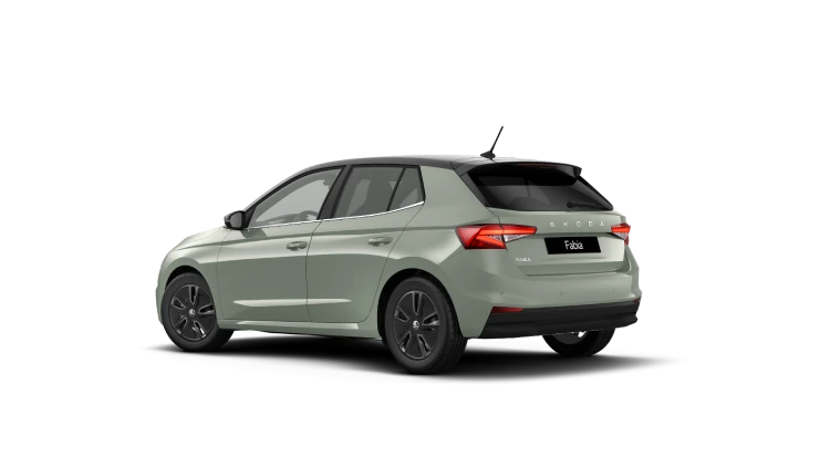 Skoda Fabia Safamar Marbella