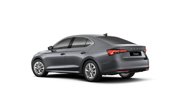 Skoda Octavia Safamar Marbella